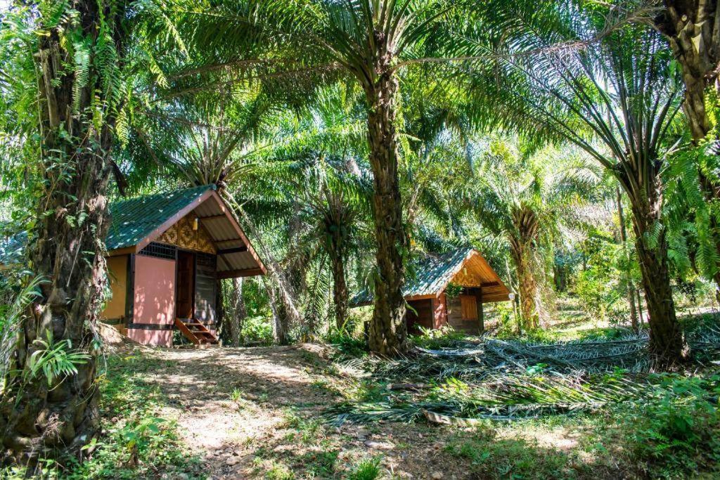 Khao Sok Silver Cliff Resort Khao Sok National Park Экстерьер фото