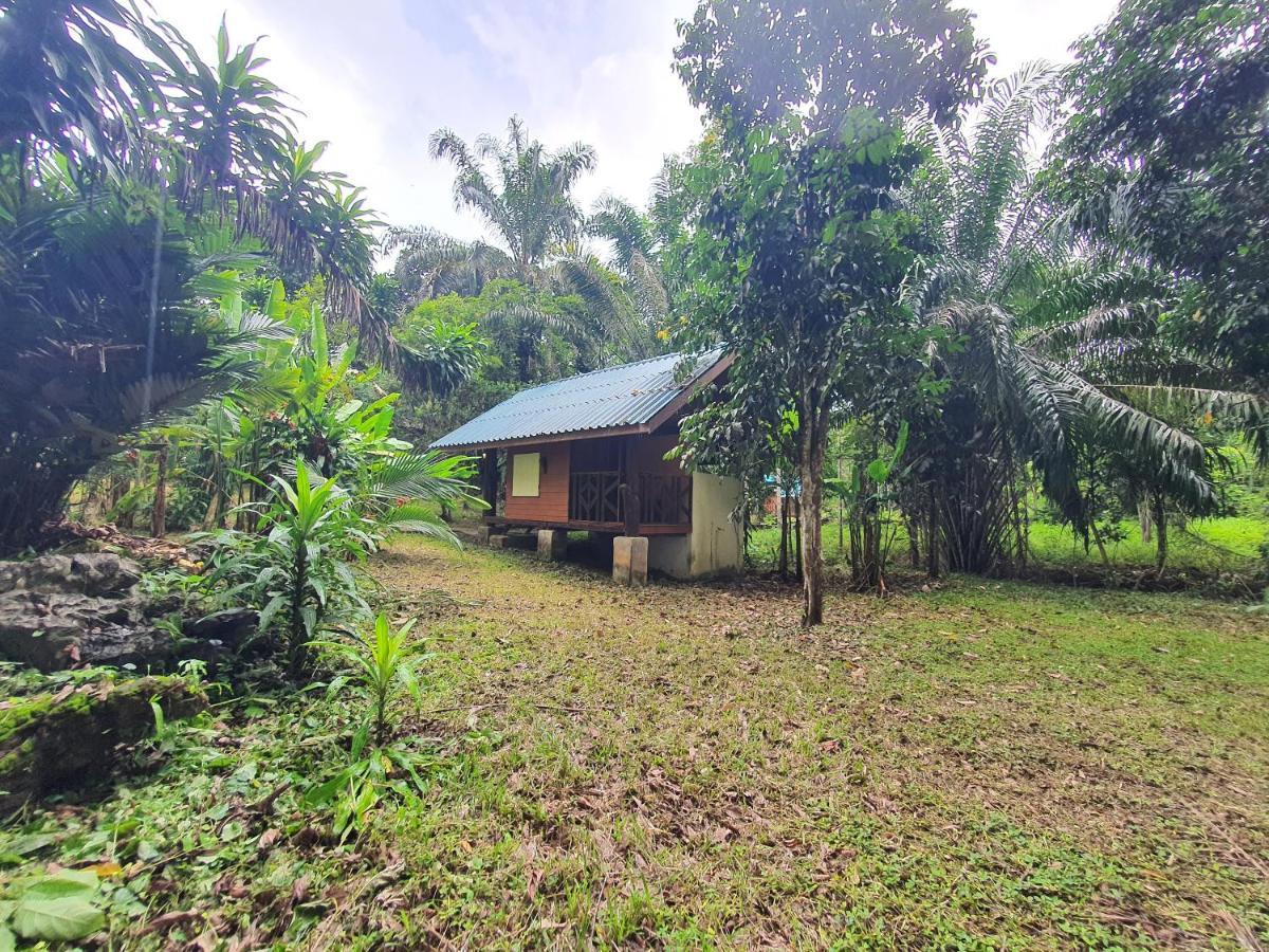 Khao Sok Silver Cliff Resort Khao Sok National Park Экстерьер фото