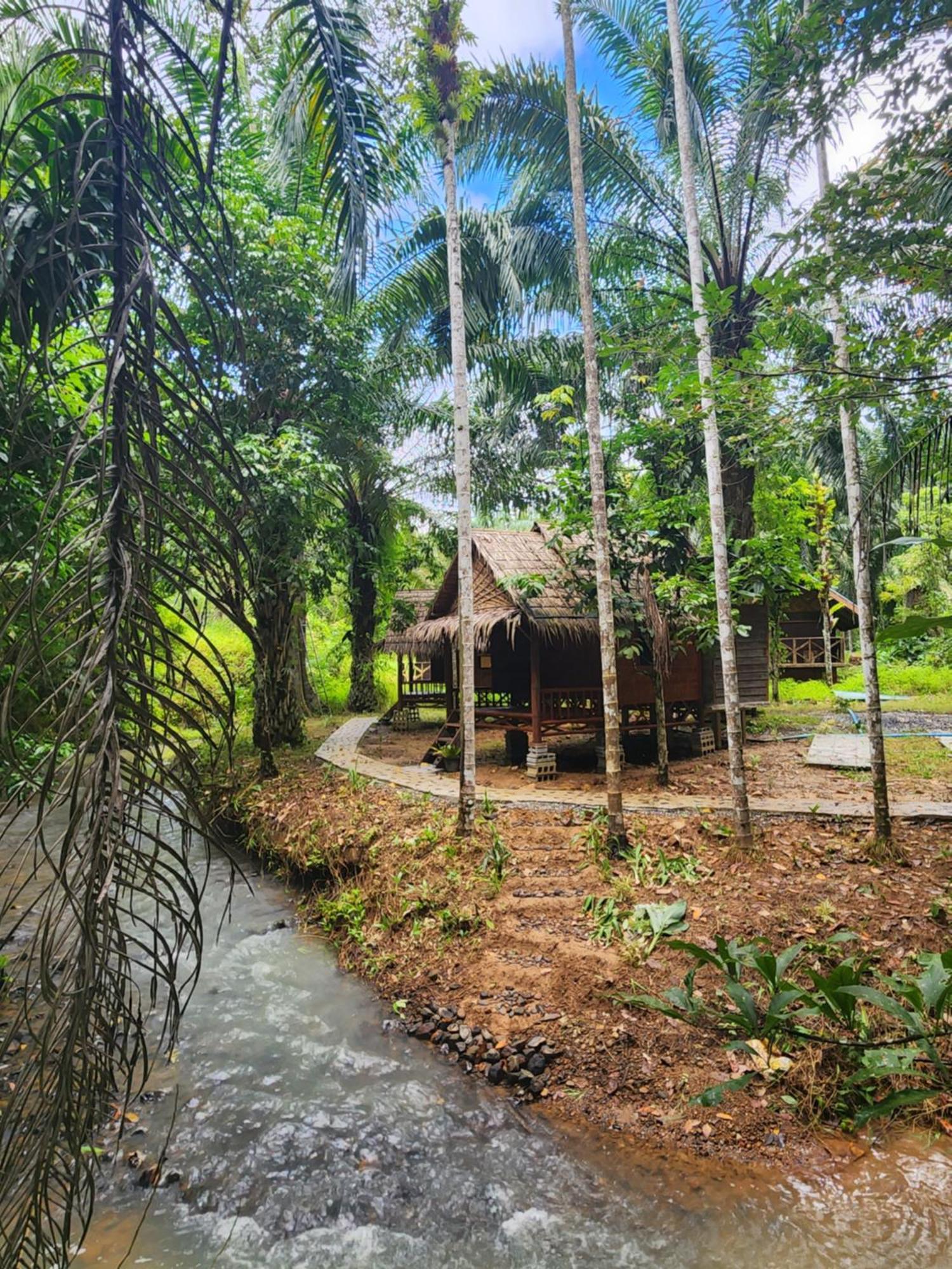 Khao Sok Silver Cliff Resort Khao Sok National Park Номер фото