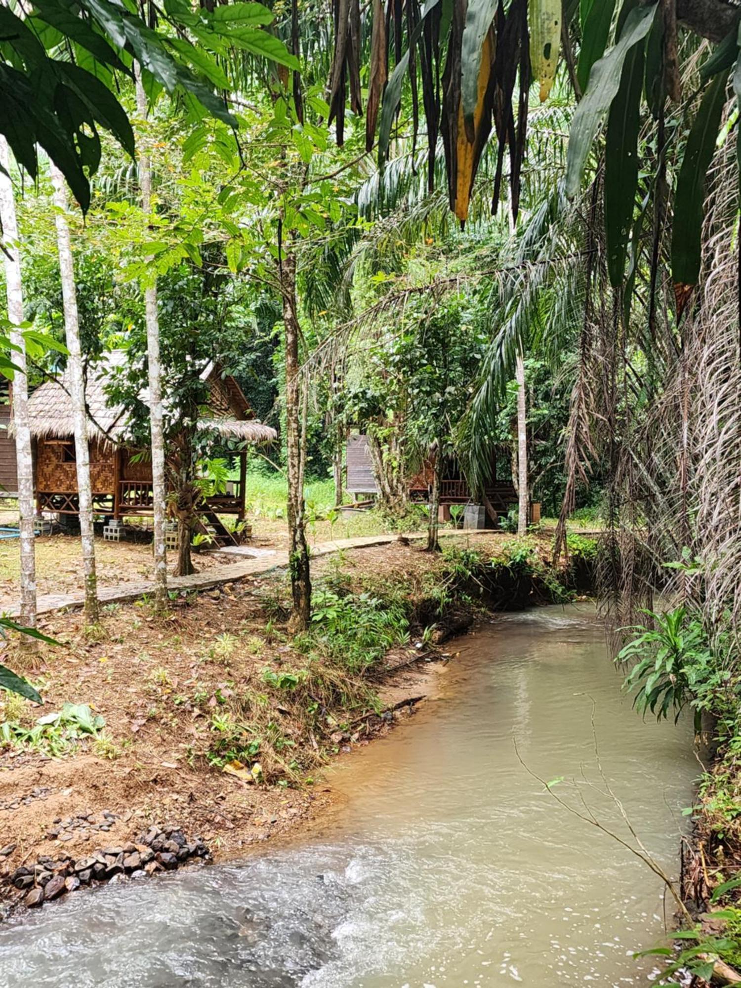 Khao Sok Silver Cliff Resort Khao Sok National Park Номер фото