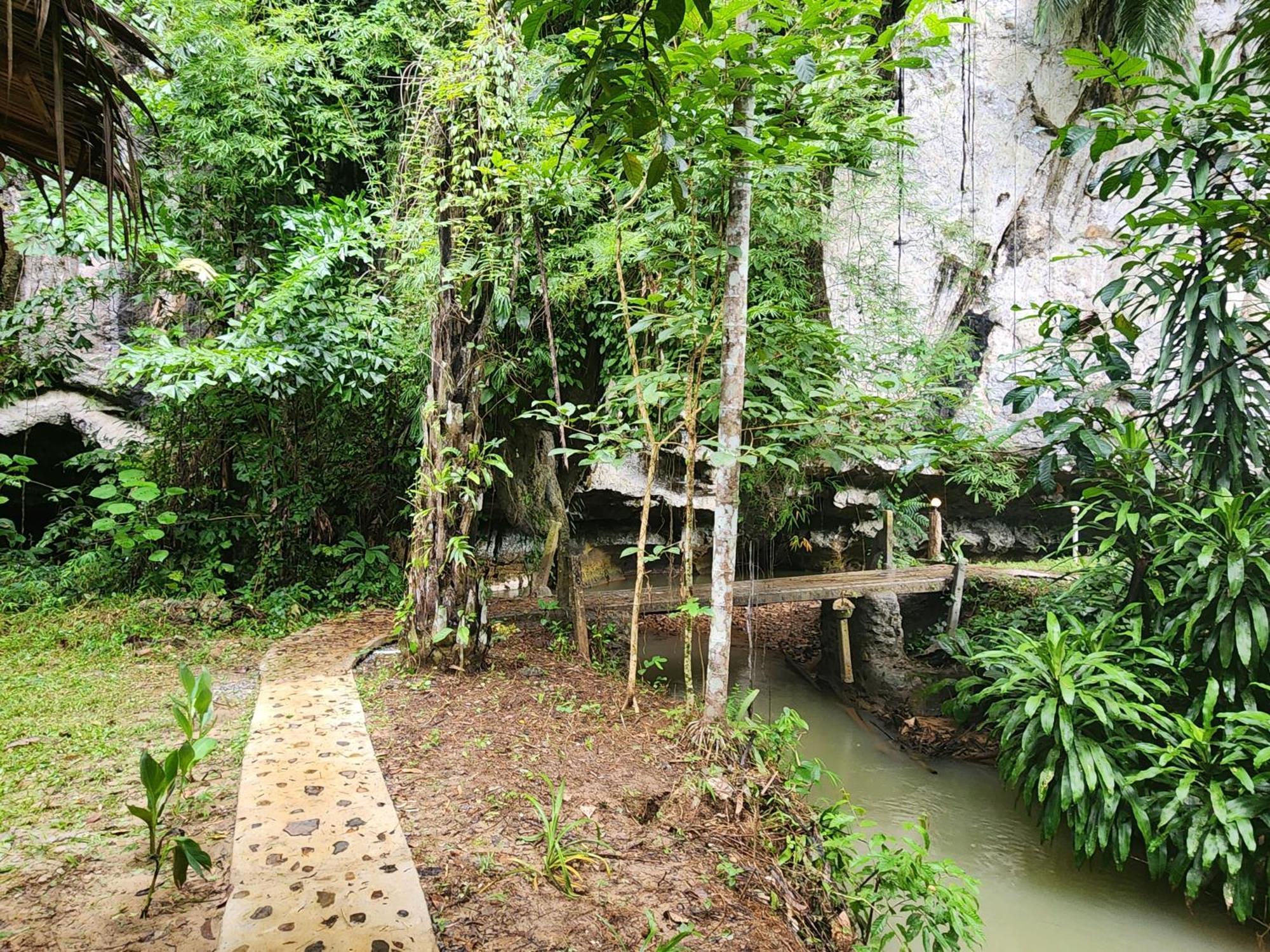 Khao Sok Silver Cliff Resort Khao Sok National Park Номер фото