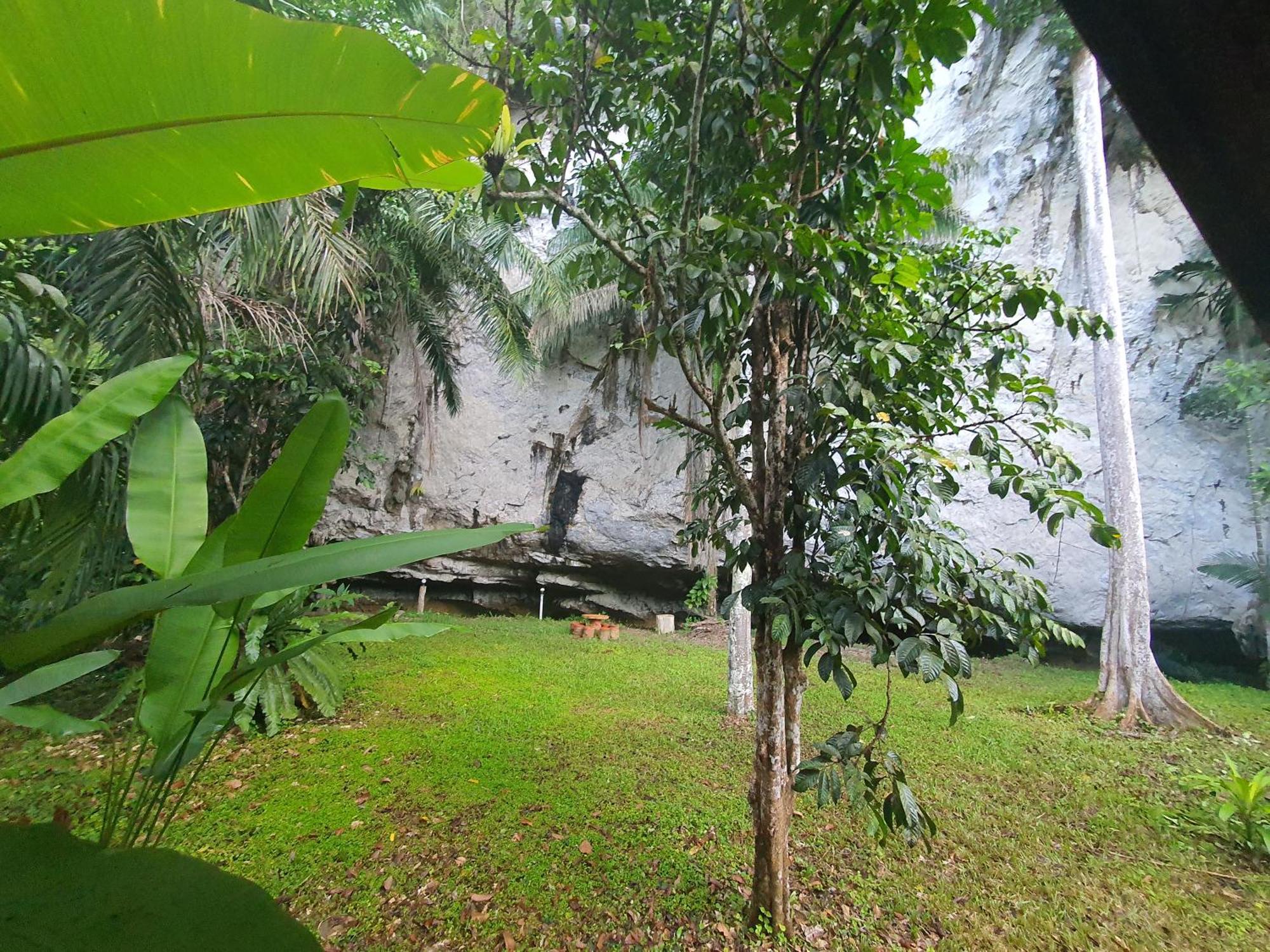 Khao Sok Silver Cliff Resort Khao Sok National Park Номер фото